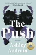 book cover for The Push
