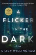 book cover for A Flicker in the Dark