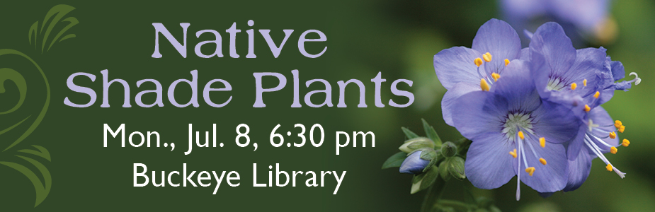 Native Shade Plants Mon., Jul. 8, 6:30 pm Buckeye Library